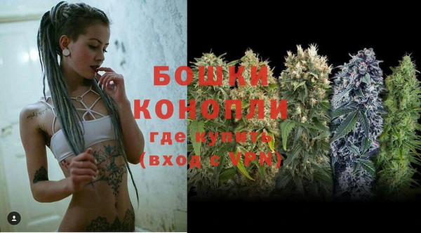 гидра Осинники