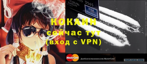 молекула духа Ветлуга